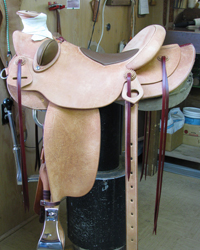 P.C. Ladies Light 3