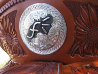 Silver Photo 21