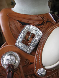 Silver Photo 30