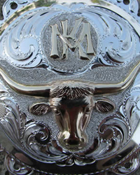 Silver Photo 1