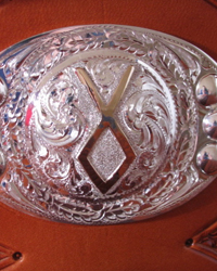 Silver Photo 7